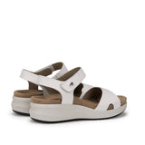 F1475 TIBET BLANCO