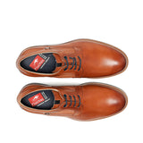 TRISTAN F1744 Zapato Marrón